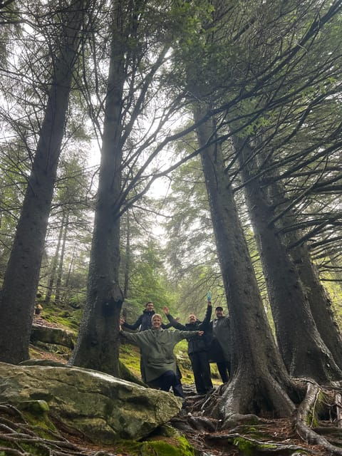 bergen-magical-nature-tour-viflowexperience