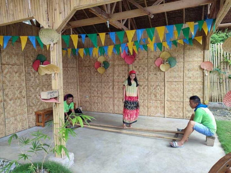 bohol-choco-tour-tarsiers-with-lunch