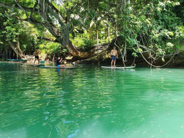 bohol-chocolate-hills-and-countryside-tour
