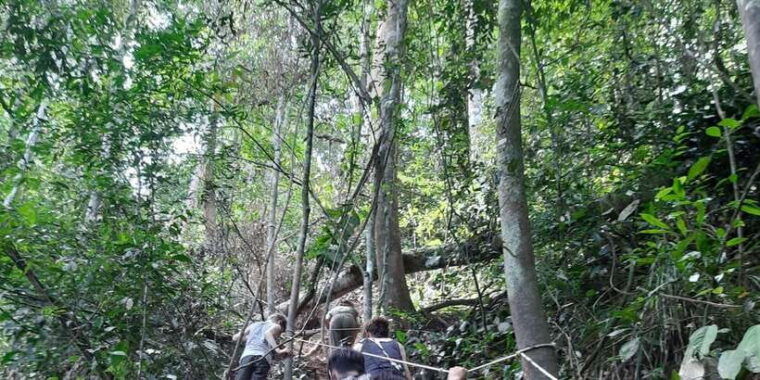 bukitlawang-orangutan-3-days-group-jungle-trek
