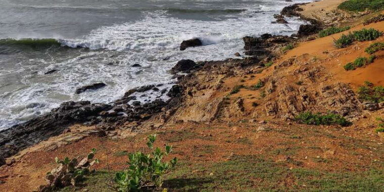 bundala-national-park-3-hour-morning-or-evening-safari