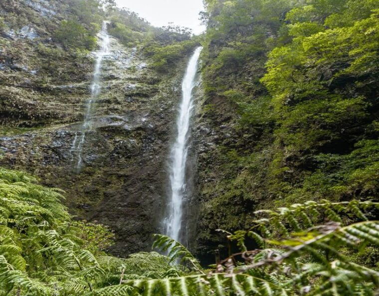 caldeirao-verde-burned-pr9-transfer-self-guided-hike