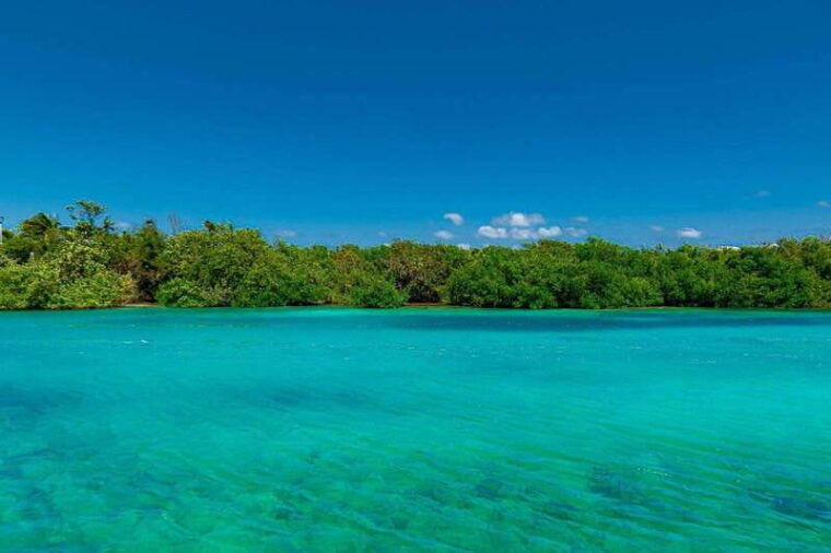 cancun-glass-bottom-boat-tour
