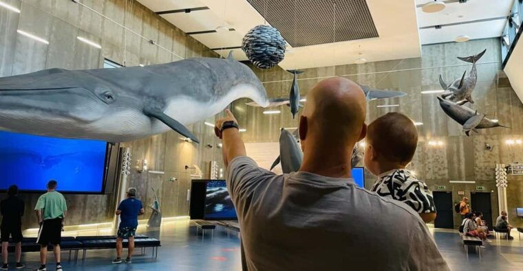 canical-madeira-whale-museum-entry-ticket