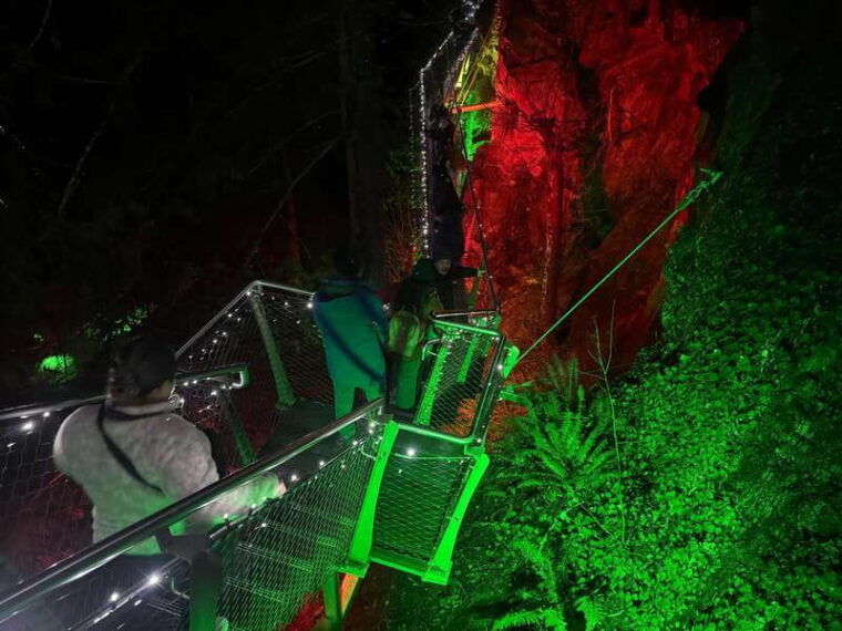capilano-suspension-bridge-charismas-canyon-light-lux-car