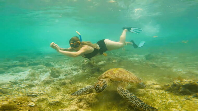 cebu-moalboal-snorkeling-kawasan-canyoneering-adventure
