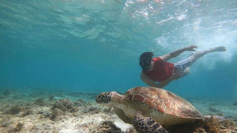 cebu-pescador-island-sardines-run-and-kawasan-canyoneering