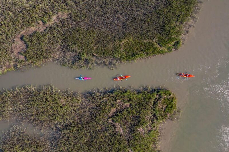 charleston-folly-beach-kayak-dolphin-safari