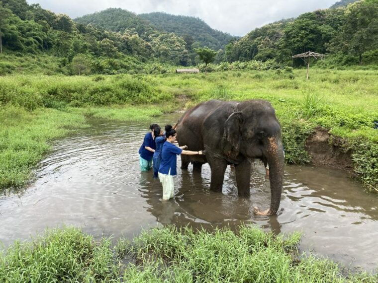 chiang-mai-small-group-ethical-elephant-sanctuary-tour