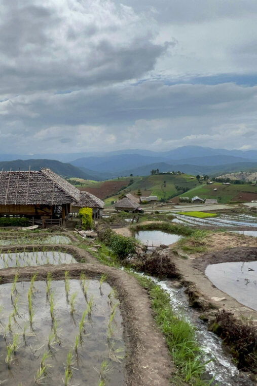 chiangmai-overnight-with-doi-inthanon-national-park-tour