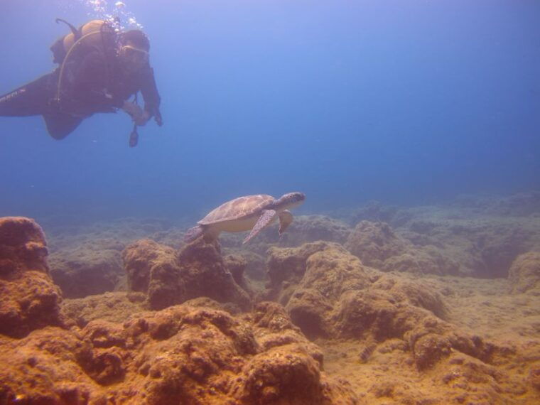 city-of-side-underwater-museum-scuba-diving-visit