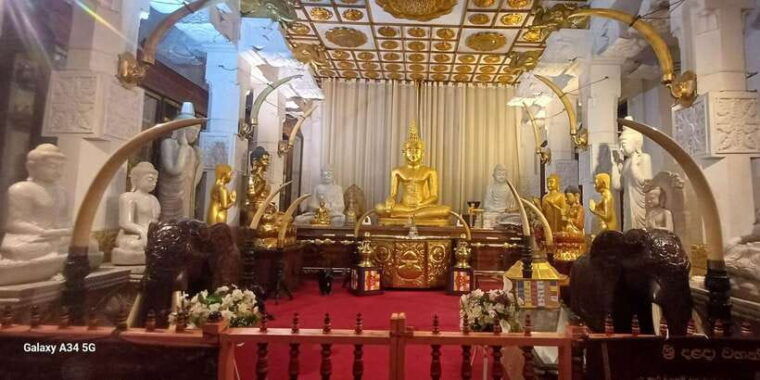 colombo-negombo-kandy-and-pinnawala-orphange-day-tour