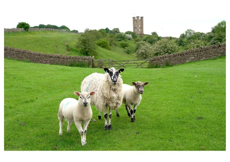 cotswolds-villages-countryside-private-luxury-tour