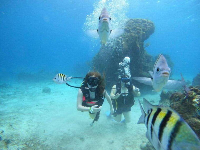 cozumel-discover-scuba-diving-at-chankanaab-marine-park