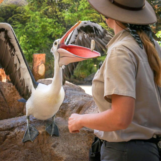 currumbin-wildlife-sanctuary-entry-ticket