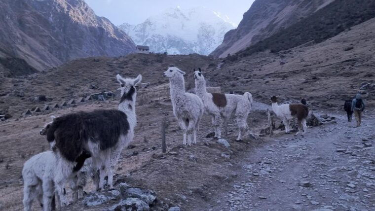 cusco-3-days-sacred-valley-humantay-lake-machu-picchu