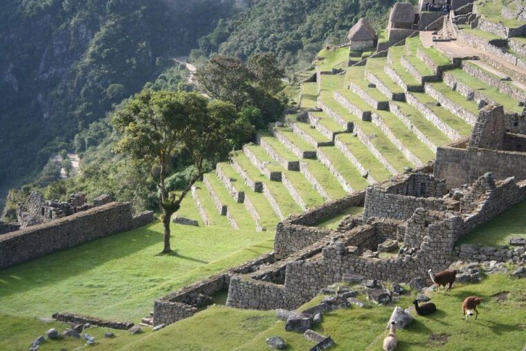 cusco-inca-trail-7-days-trek-to-machu-picchu-with-tickets