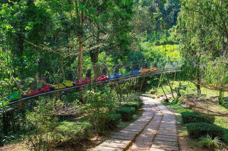 da-lat-full-day-adventurous-day-in-da-lats-nature