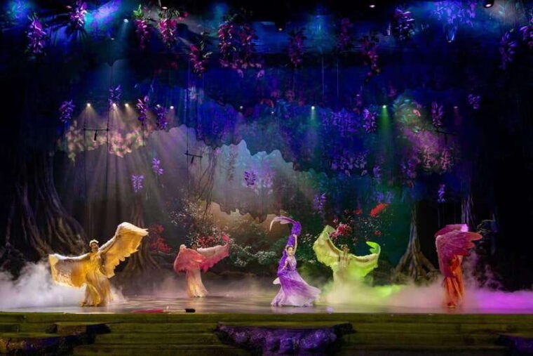 da-nang-tien-sa-show-ticket