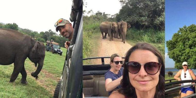 dambulla-sigiriya-polonnaruwa-minneriya-park-jeep-safari