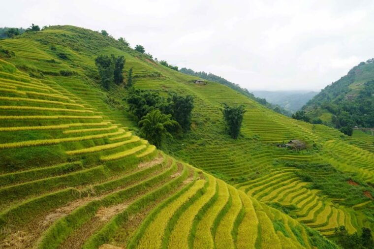 day-trip-to-cat-cat-village-fanxipang-peak-lunch