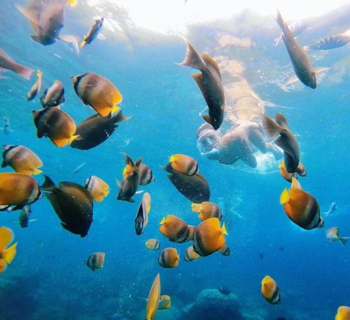 east-bali-blue-lagoon-snorkeling-all-inclusive