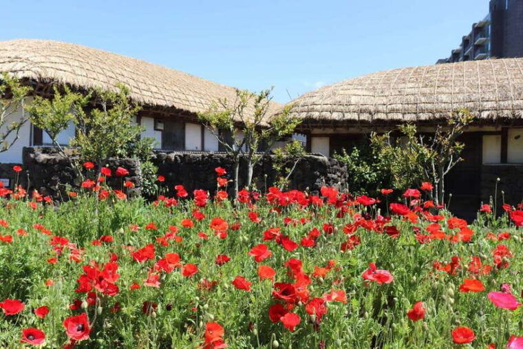 east-of-jeju-island-bus-tour-from-seogwipo-city-jeju-island