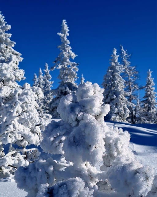 ehrwald-zugspitze-snowshoe-hiking-tour-with-mountain-views