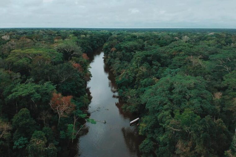 excursion-to-the-pacaya-samiria-national-reserve-jungle