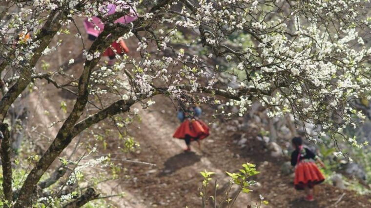 explore-ecotourism-in-private-mai-chau-with-biking-tour