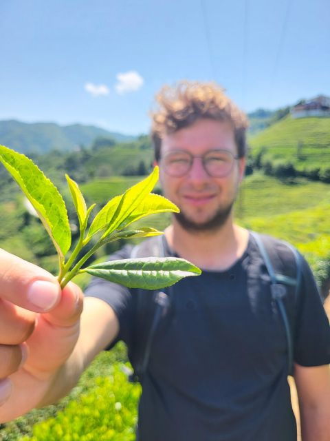 farming-with-farmers-at-ancient-vegetable-village-tra-que