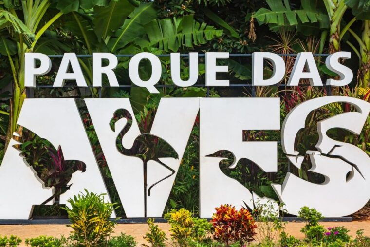 foz-do-iguacu-bird-park-experience