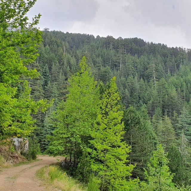 from-alanya-quad-atv-safari-tour