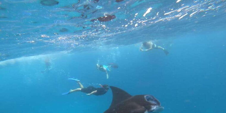 from-bali-lembongan-penida-2-day-tour-with-snorkeling