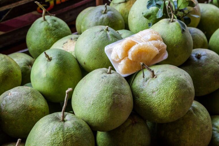 From Bangkok: Damnoen Saduak Floating Market Guided Tour - Preparing for the Tour