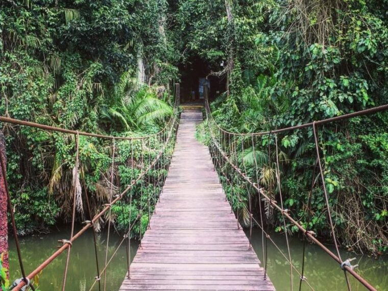 from-bangkok-khao-yai-national-park-jungle-trek-with-lunch
