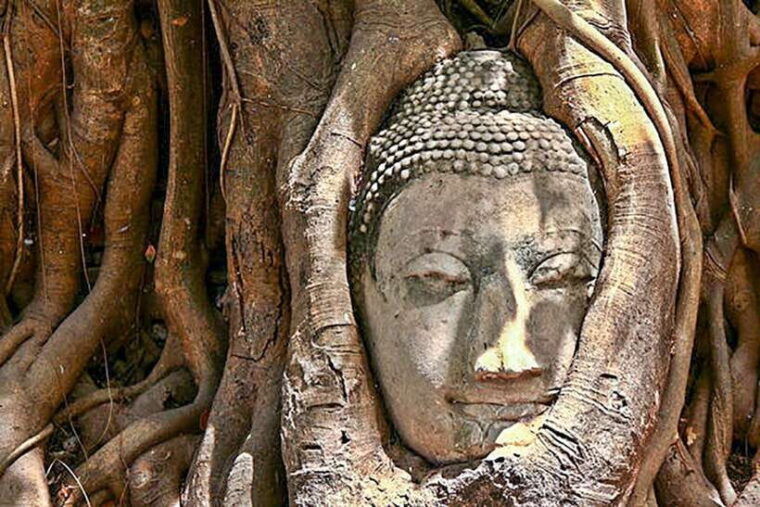 from-bangkok-tour-ayutthaya-lunch-spanish-guide