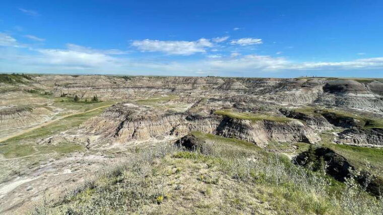 from-calgary-canadian-badlands-private-geological-tour