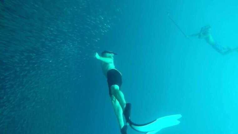 from-cebu-city-moalboal-pescador-snorkeling-tour-lunch