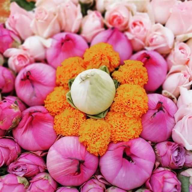 from-chiang-mai-chiang-rai-temples-and-golden-triangle-tour
