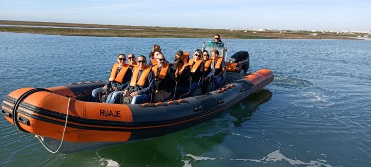 from-faro-dolphin-watching-wildlife