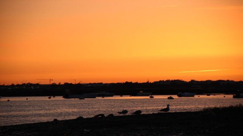 from-faro-ria-formosa-sunset-boat-trip