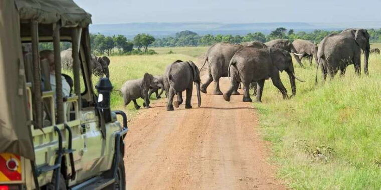 from-galle-mirissa-hikkaduwa-udawalawe-national-park-safari