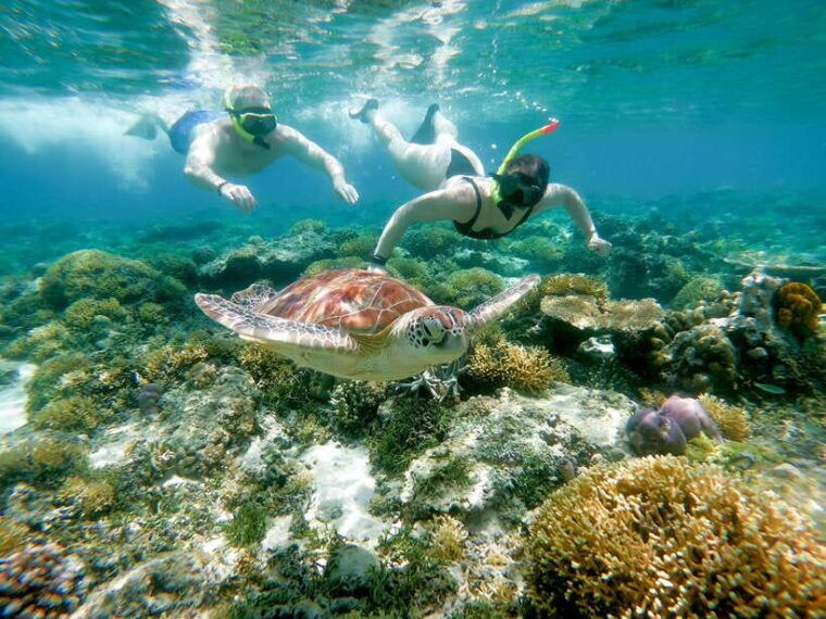 from-gili-meno-private-snorkeling-with-turtle-statue