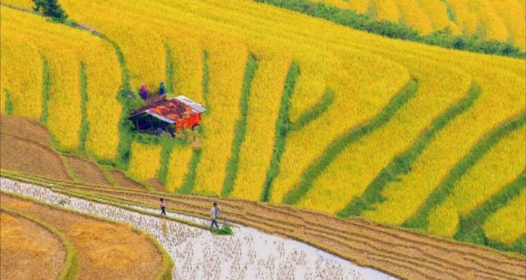 from-hanoi-3-day-sapa-trek-with-guide-homestay-and-meals