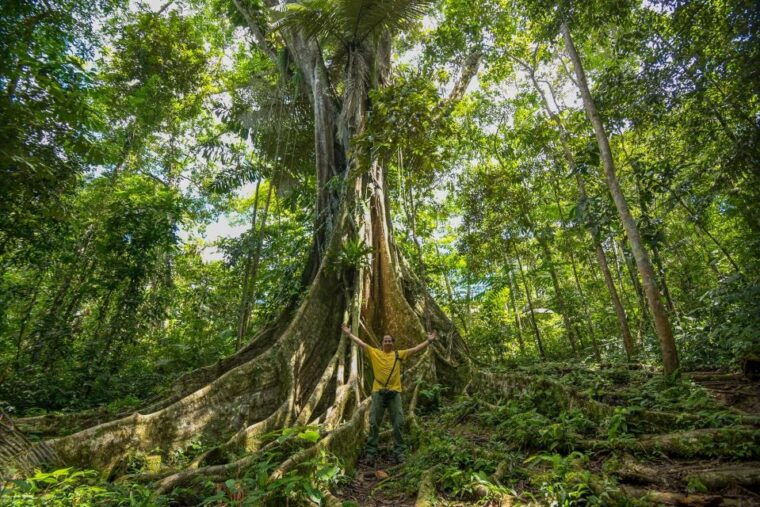 from-iquitos-4-day-pacaya-samiria-national-reserve-tour