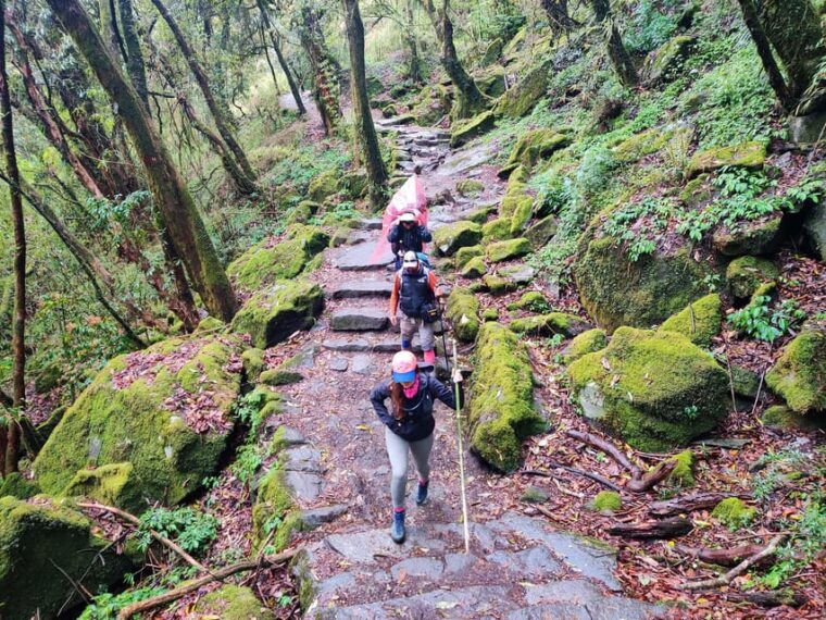 from-kathmandu-5-days-annapurna-base-camp-trek-with-flight