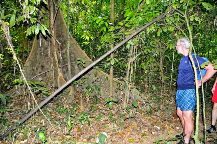 from-krabi-cheow-lan-lake-cruise-and-khao-sok-jungle-hike