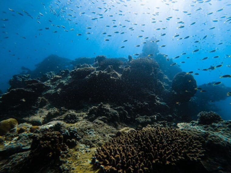 from-krabi-phi-phi-islands-speedboat-day-tour