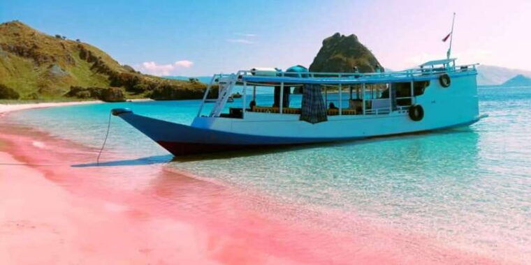from-labuan-bajo-explore-komodo-dragon-island